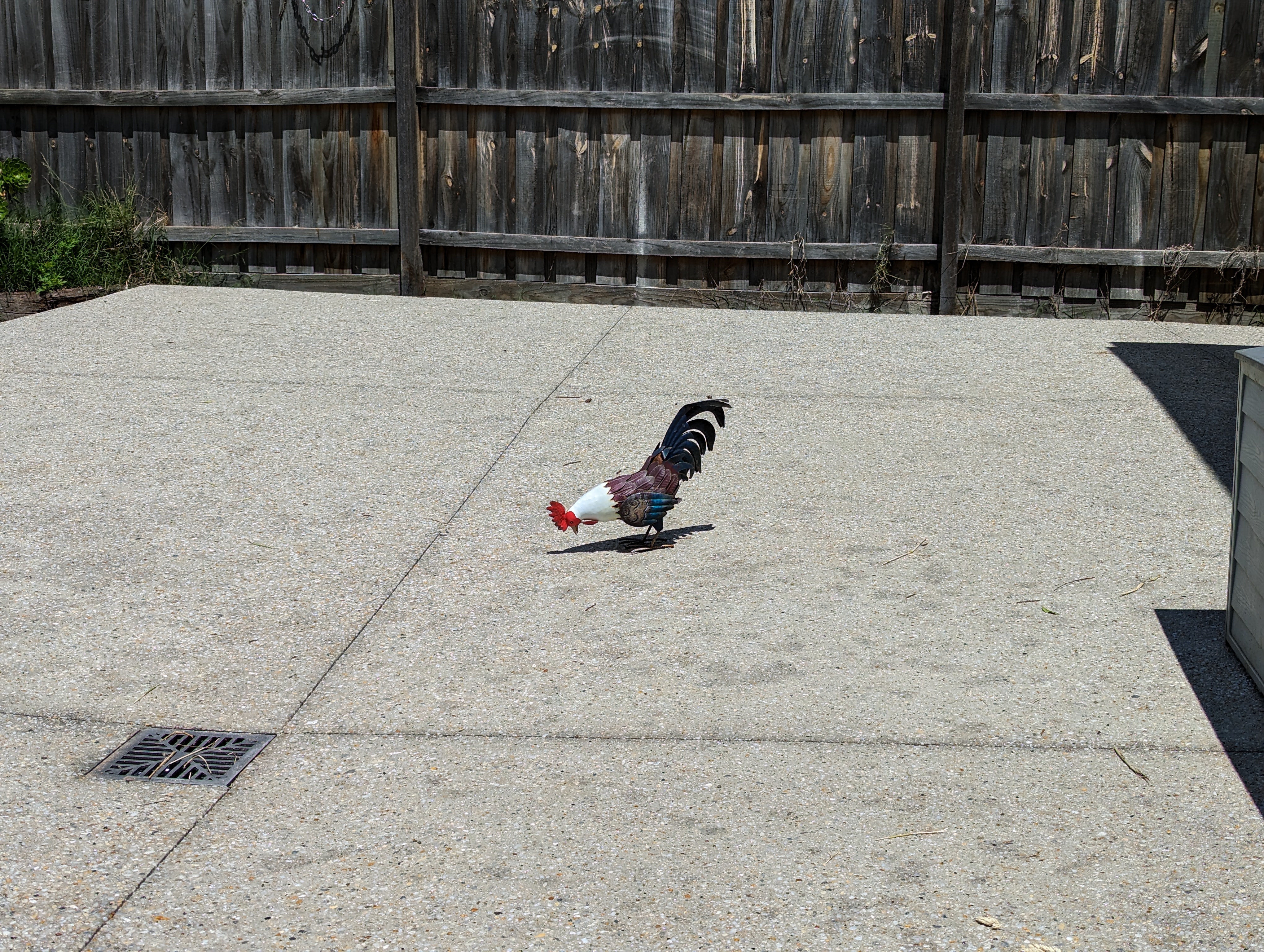 Pixel%207Pro%20x2%20-%20Copy